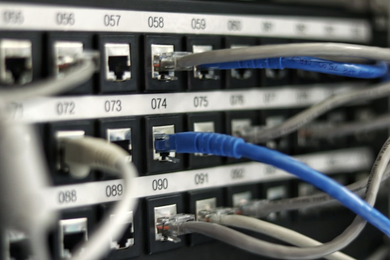 Cabos de rede azuis ligados a um switch